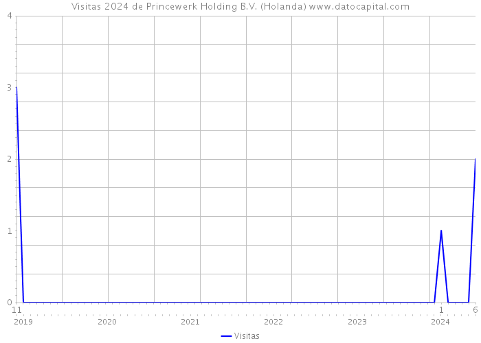 Visitas 2024 de Princewerk Holding B.V. (Holanda) 