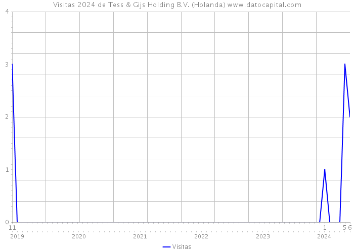 Visitas 2024 de Tess & Gijs Holding B.V. (Holanda) 