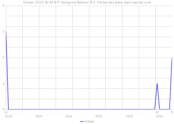 Visitas 2024 de M & P Vastgoed Beheer B.V. (Holanda) 