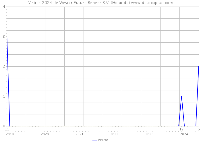 Visitas 2024 de Wester Future Beheer B.V. (Holanda) 