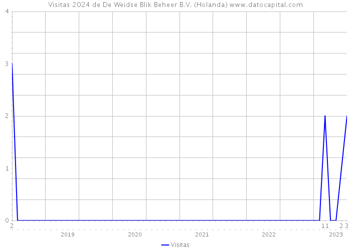 Visitas 2024 de De Weidse Blik Beheer B.V. (Holanda) 