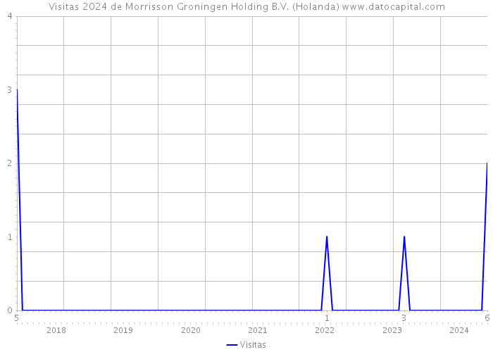 Visitas 2024 de Morrisson Groningen Holding B.V. (Holanda) 
