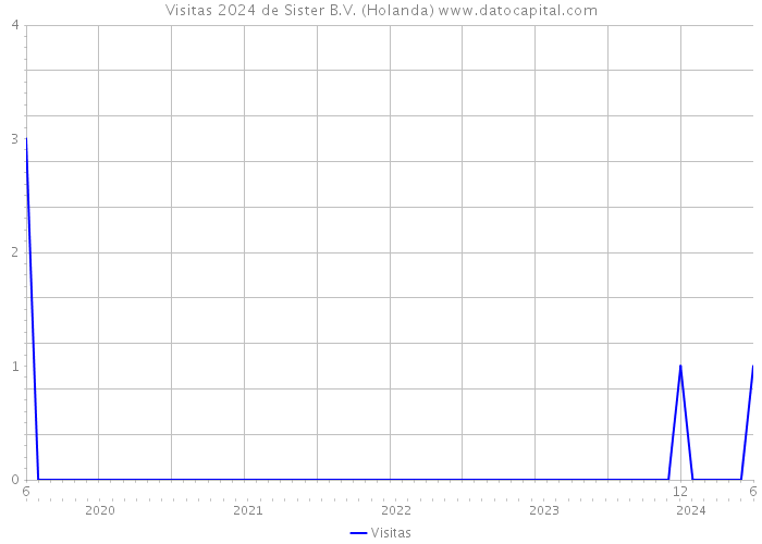 Visitas 2024 de Sister B.V. (Holanda) 