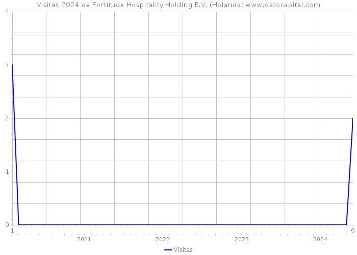 Visitas 2024 de Fortitude Hospitality Holding B.V. (Holanda) 