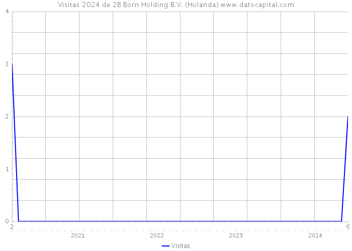 Visitas 2024 de 2B Born Holding B.V. (Holanda) 