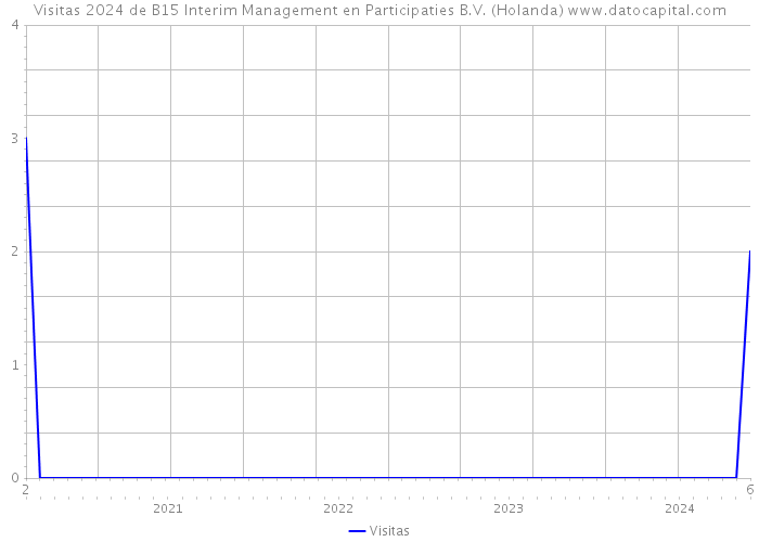 Visitas 2024 de B15 Interim Management en Participaties B.V. (Holanda) 