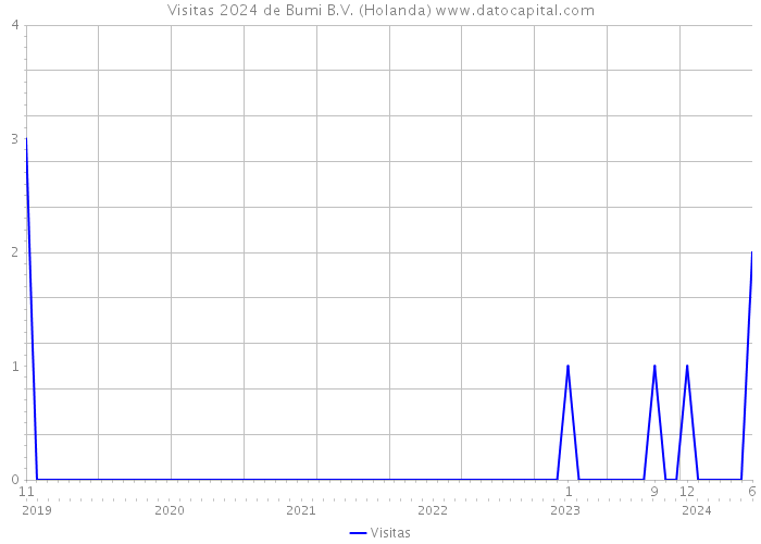 Visitas 2024 de Bumi B.V. (Holanda) 