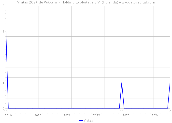Visitas 2024 de Wikkerink Holding Exploitatie B.V. (Holanda) 