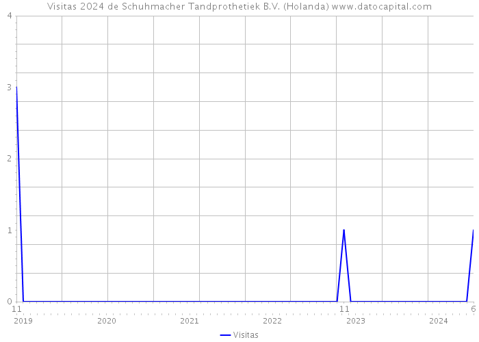 Visitas 2024 de Schuhmacher Tandprothetiek B.V. (Holanda) 