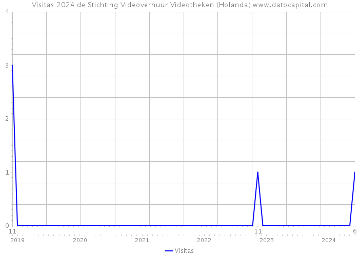 Visitas 2024 de Stichting Videoverhuur Videotheken (Holanda) 