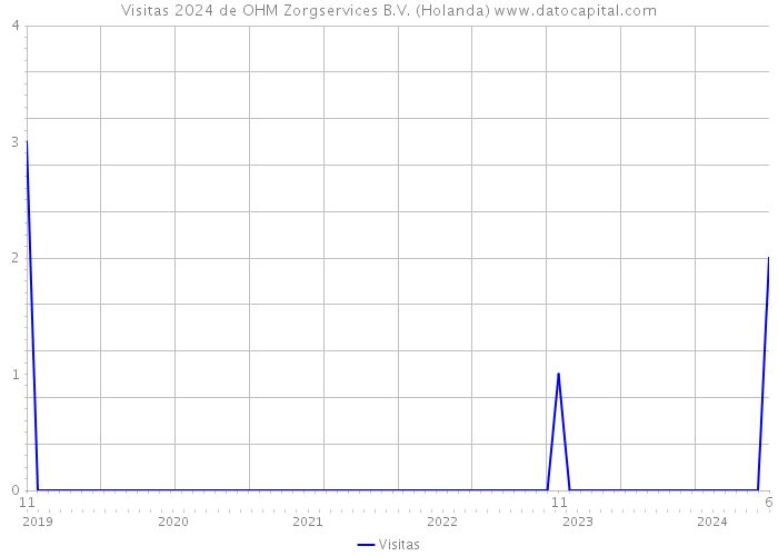 Visitas 2024 de OHM Zorgservices B.V. (Holanda) 