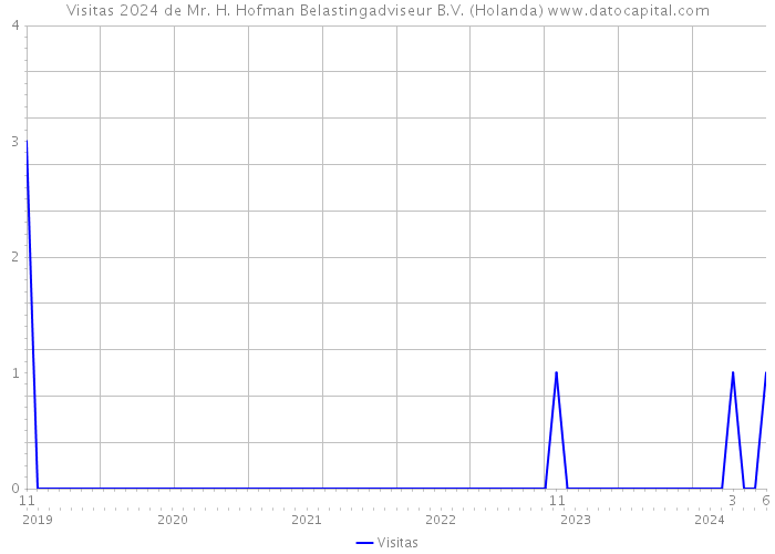 Visitas 2024 de Mr. H. Hofman Belastingadviseur B.V. (Holanda) 