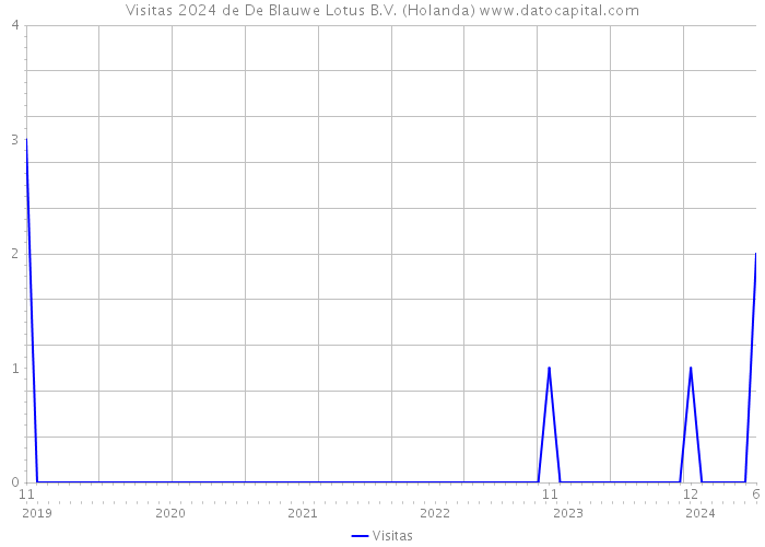 Visitas 2024 de De Blauwe Lotus B.V. (Holanda) 