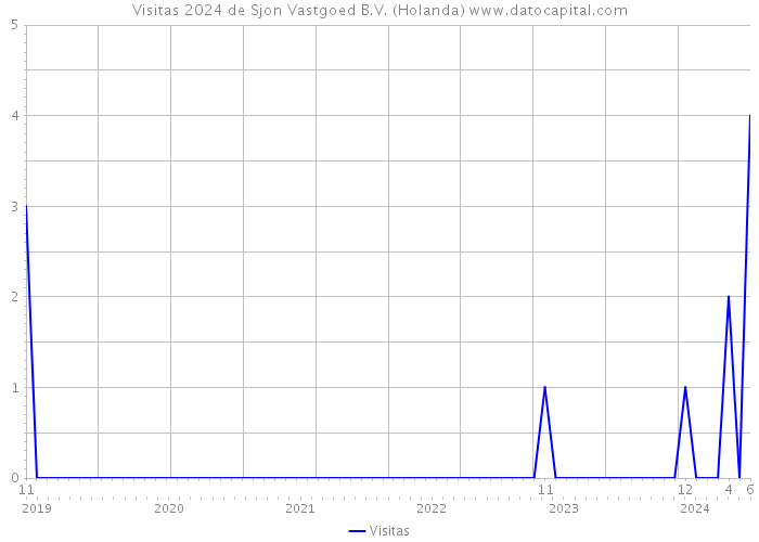 Visitas 2024 de Sjon Vastgoed B.V. (Holanda) 