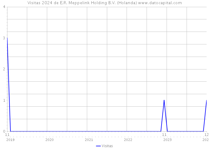 Visitas 2024 de E.R. Meppelink Holding B.V. (Holanda) 