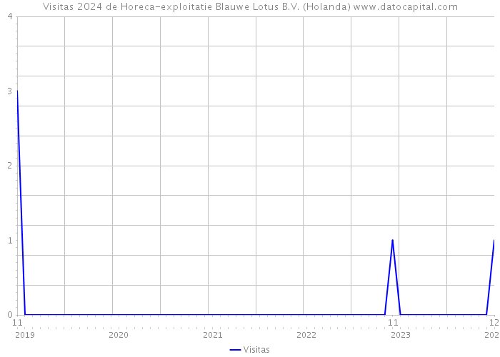 Visitas 2024 de Horeca-exploitatie Blauwe Lotus B.V. (Holanda) 