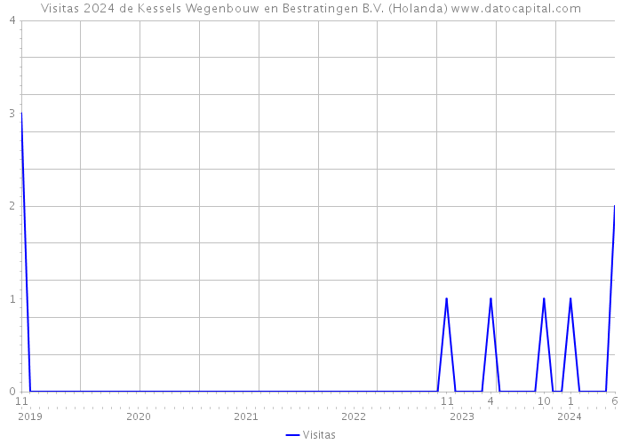 Visitas 2024 de Kessels Wegenbouw en Bestratingen B.V. (Holanda) 