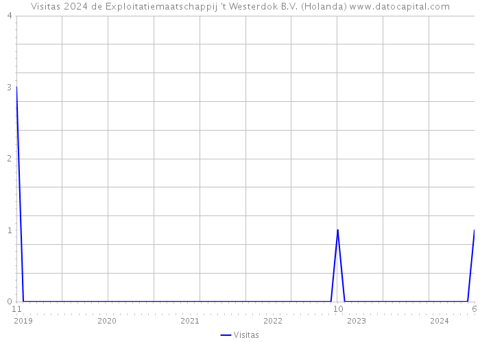 Visitas 2024 de Exploitatiemaatschappij 't Westerdok B.V. (Holanda) 