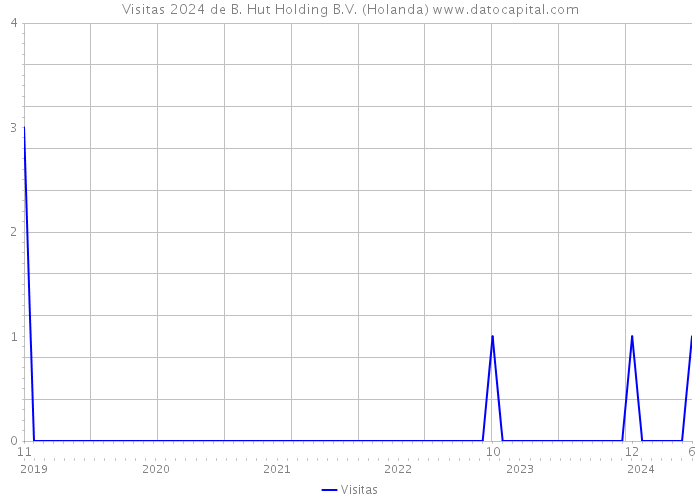 Visitas 2024 de B. Hut Holding B.V. (Holanda) 