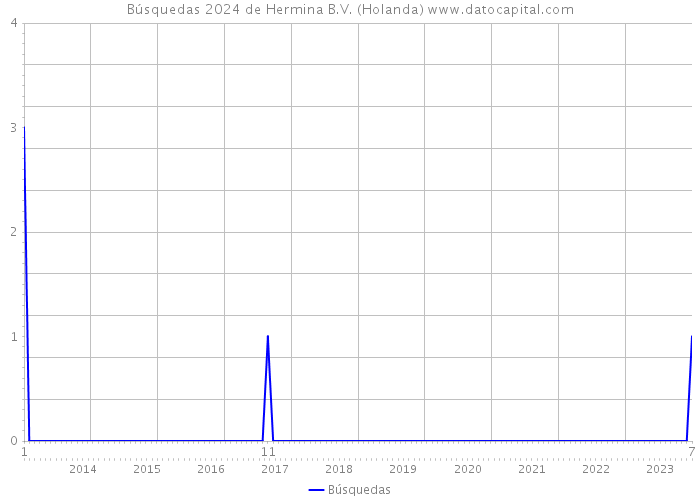 Búsquedas 2024 de Hermina B.V. (Holanda) 