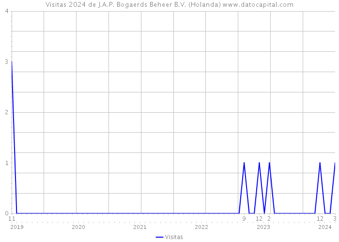 Visitas 2024 de J.A.P. Bogaerds Beheer B.V. (Holanda) 