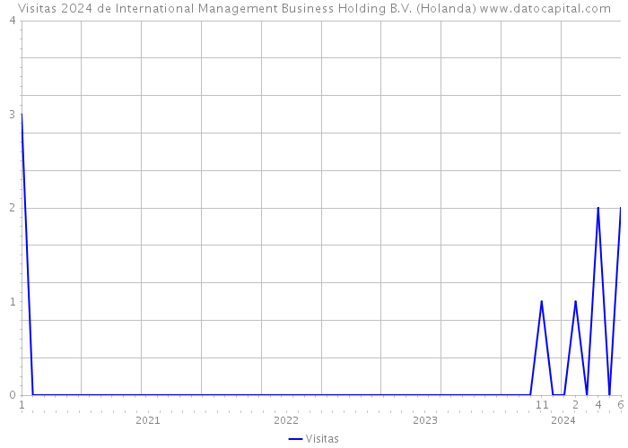 Visitas 2024 de International Management Business Holding B.V. (Holanda) 