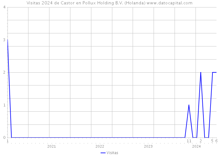 Visitas 2024 de Castor en Pollux Holding B.V. (Holanda) 