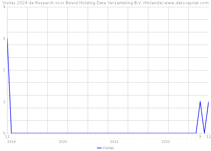 Visitas 2024 de Research voor Beleid Holding Data Verzameling B.V. (Holanda) 