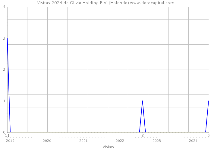 Visitas 2024 de Olivia Holding B.V. (Holanda) 