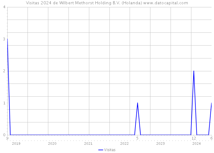 Visitas 2024 de Wilbert Methorst Holding B.V. (Holanda) 