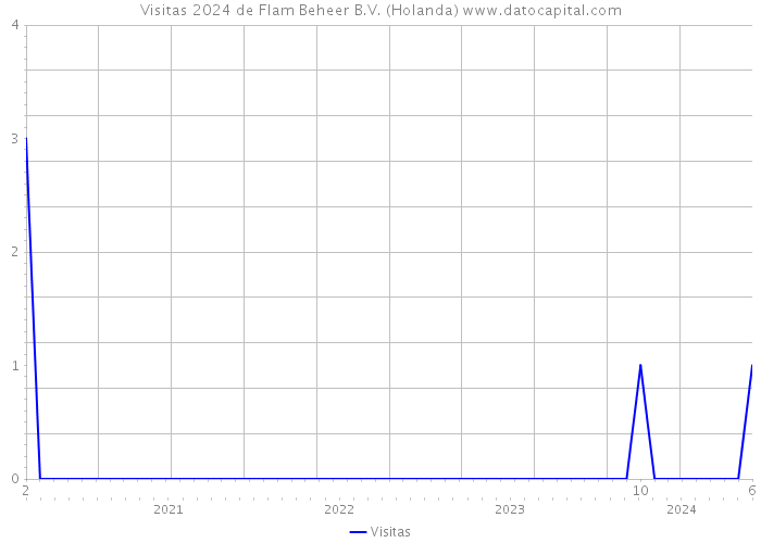 Visitas 2024 de Flam Beheer B.V. (Holanda) 