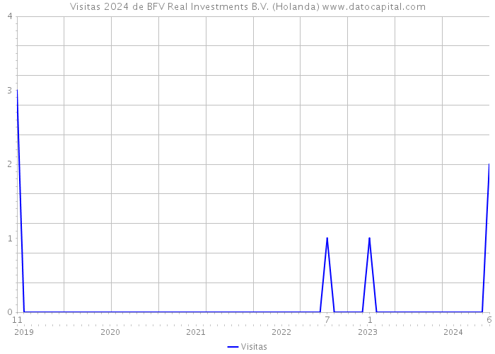 Visitas 2024 de BFV Real Investments B.V. (Holanda) 