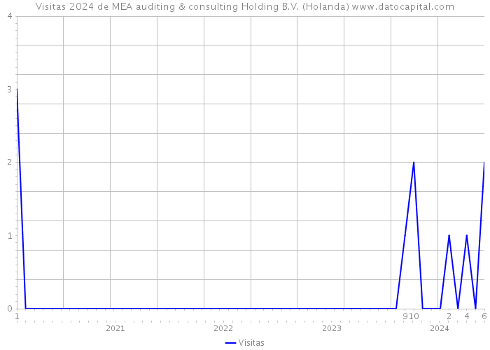 Visitas 2024 de MEA auditing & consulting Holding B.V. (Holanda) 