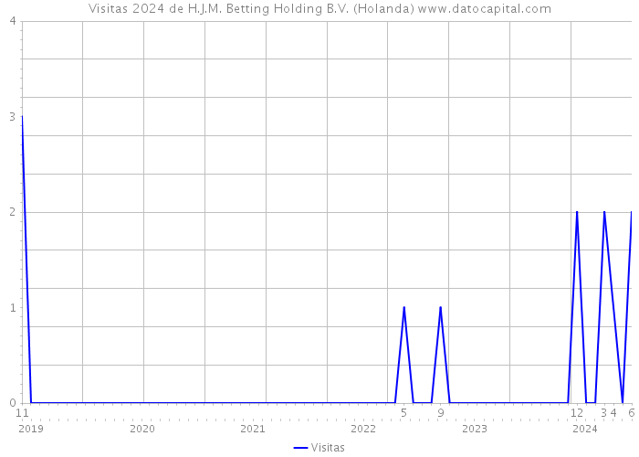 Visitas 2024 de H.J.M. Betting Holding B.V. (Holanda) 