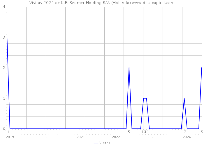 Visitas 2024 de K.E. Beumer Holding B.V. (Holanda) 