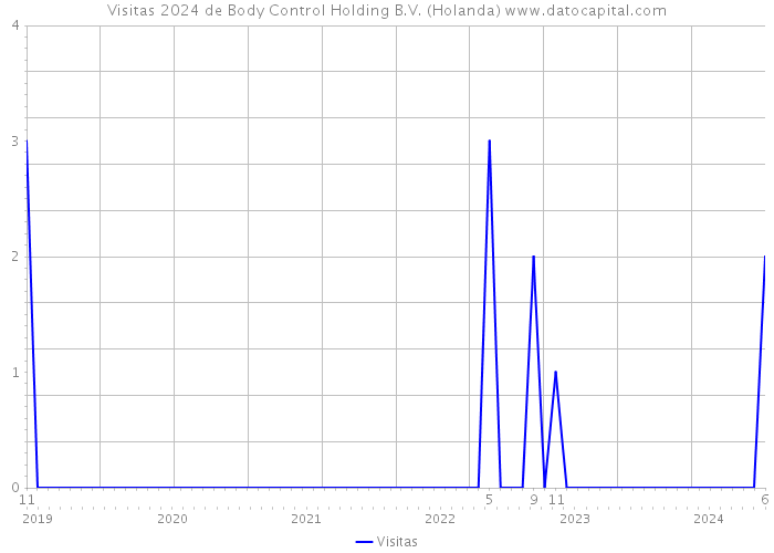 Visitas 2024 de Body Control Holding B.V. (Holanda) 