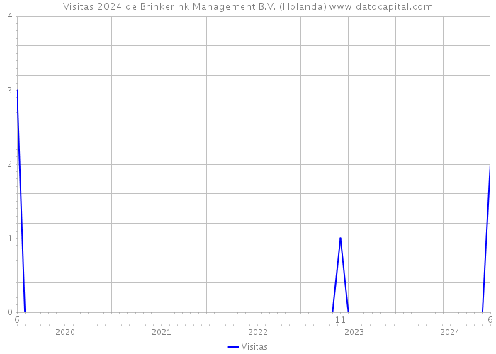 Visitas 2024 de Brinkerink Management B.V. (Holanda) 