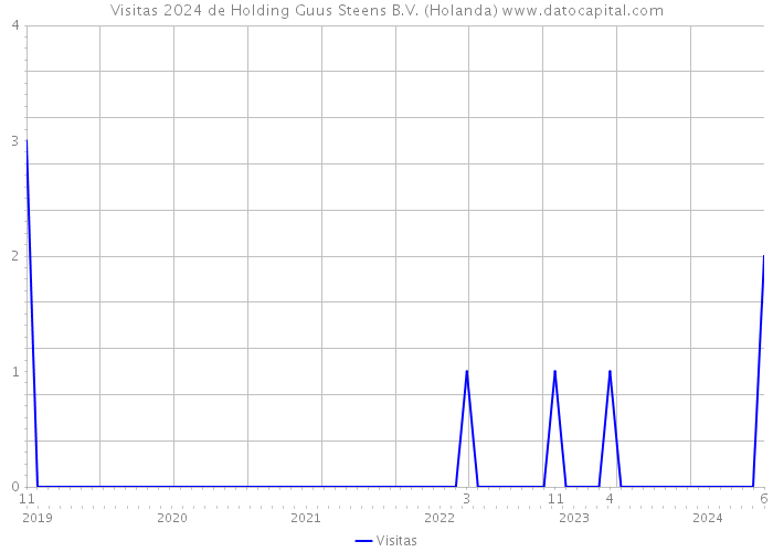 Visitas 2024 de Holding Guus Steens B.V. (Holanda) 