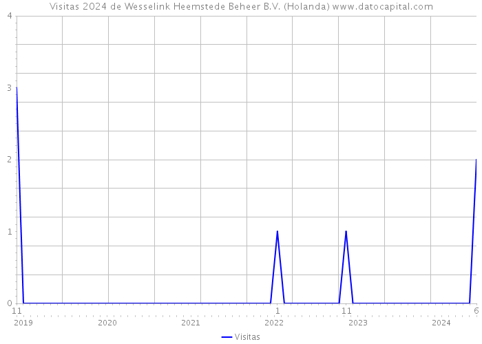 Visitas 2024 de Wesselink Heemstede Beheer B.V. (Holanda) 