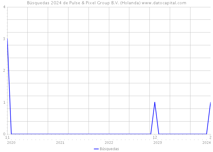 Búsquedas 2024 de Pulse & Pixel Group B.V. (Holanda) 