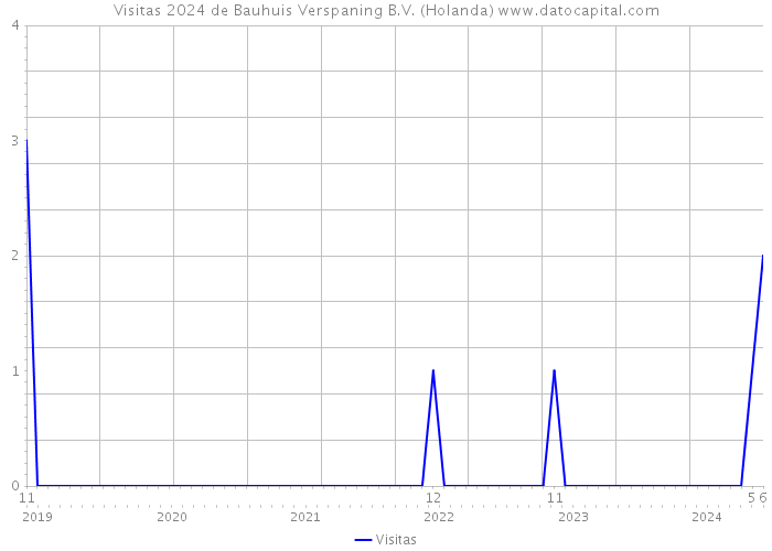 Visitas 2024 de Bauhuis Verspaning B.V. (Holanda) 