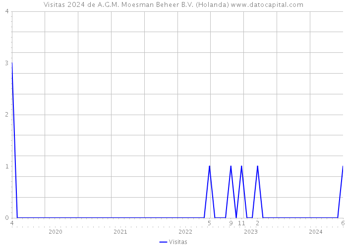 Visitas 2024 de A.G.M. Moesman Beheer B.V. (Holanda) 