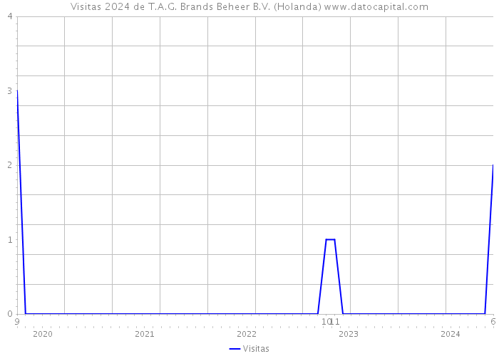 Visitas 2024 de T.A.G. Brands Beheer B.V. (Holanda) 