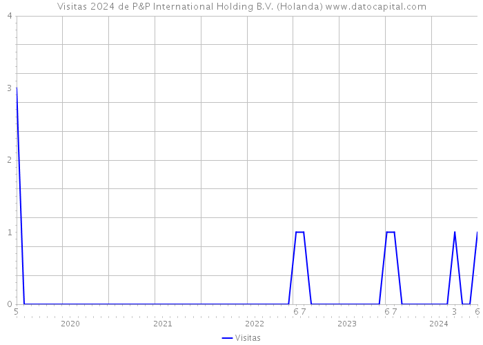 Visitas 2024 de P&P International Holding B.V. (Holanda) 