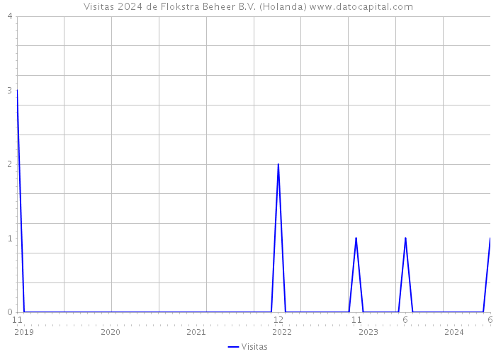 Visitas 2024 de Flokstra Beheer B.V. (Holanda) 