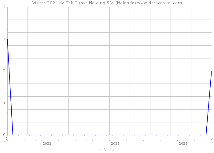 Visitas 2024 de Tek Dunya Holding B.V. (Holanda) 