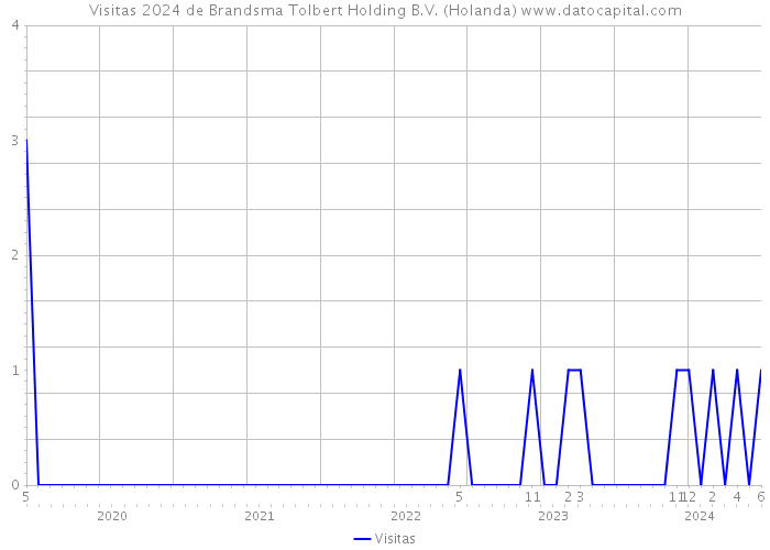 Visitas 2024 de Brandsma Tolbert Holding B.V. (Holanda) 