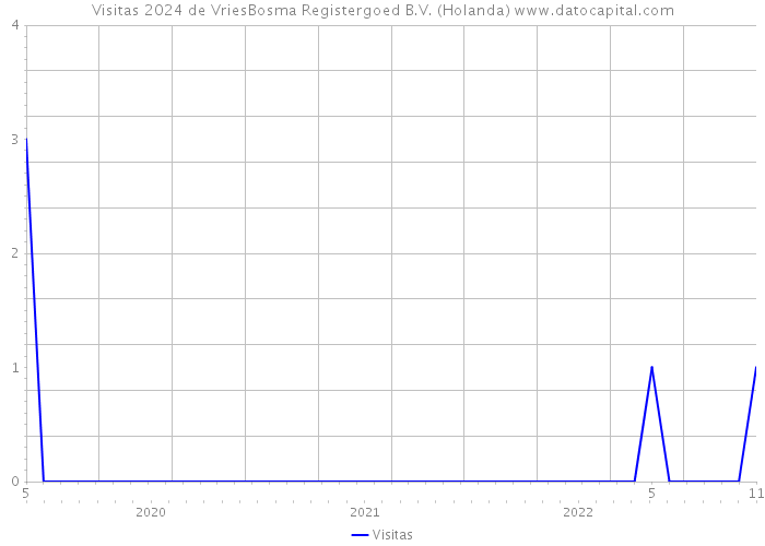 Visitas 2024 de VriesBosma Registergoed B.V. (Holanda) 