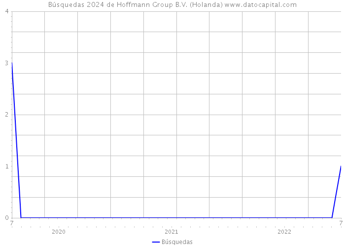 Búsquedas 2024 de Hoffmann Group B.V. (Holanda) 