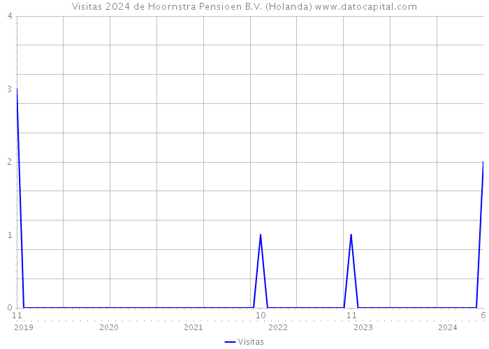 Visitas 2024 de Hoornstra Pensioen B.V. (Holanda) 